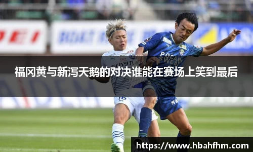 jbo竞博